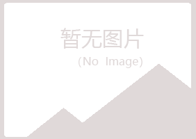 韶关紫山水泥有限公司